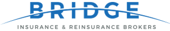 Bridge Insurance & Reinsurance Brokers